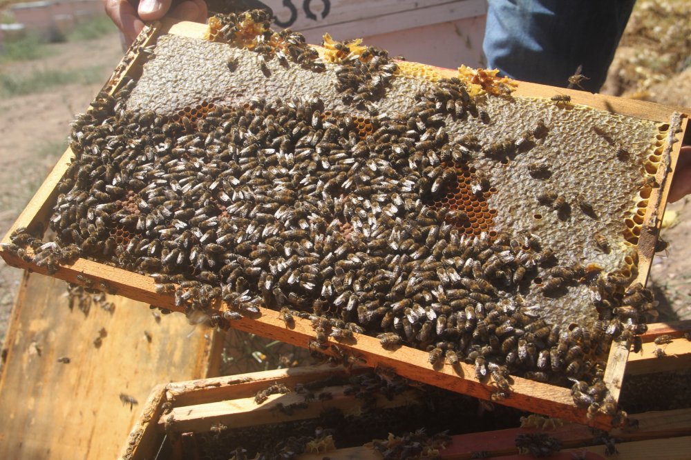 Haber Detay Görseli