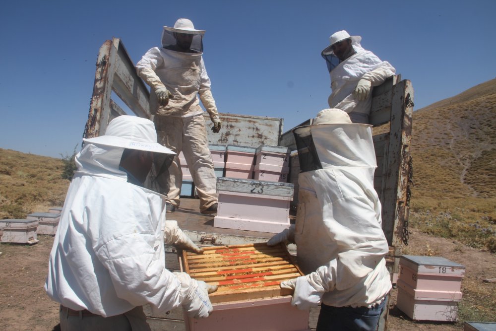 Haber Detay Görseli