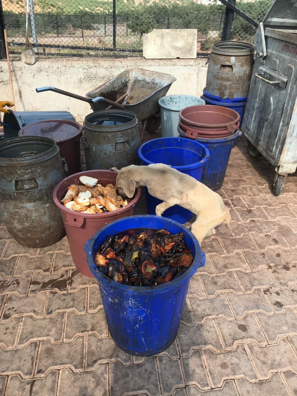 Haber Detay Görseli