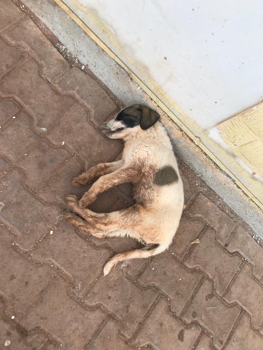 Haber Detay Görseli