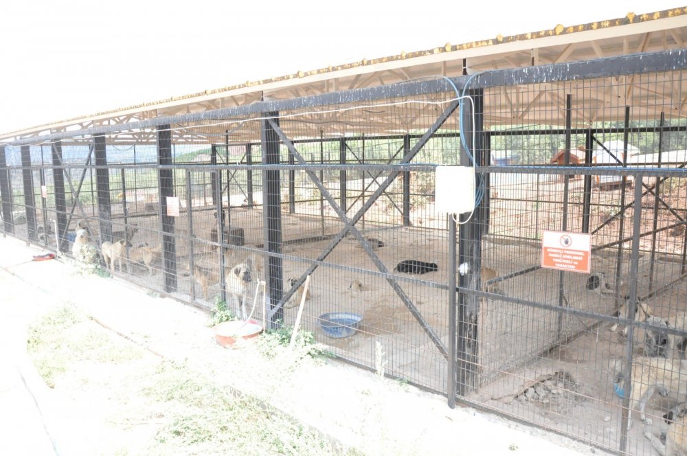 Haber Detay Görseli