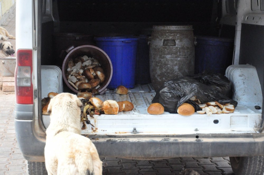 Haber Detay Görseli