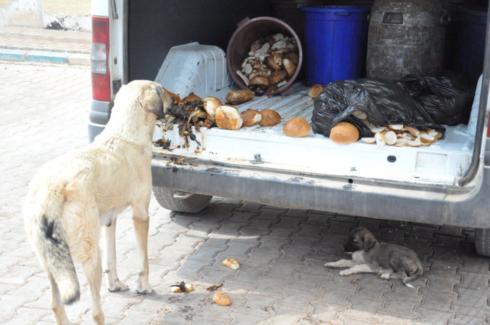 Haber Detay Görseli