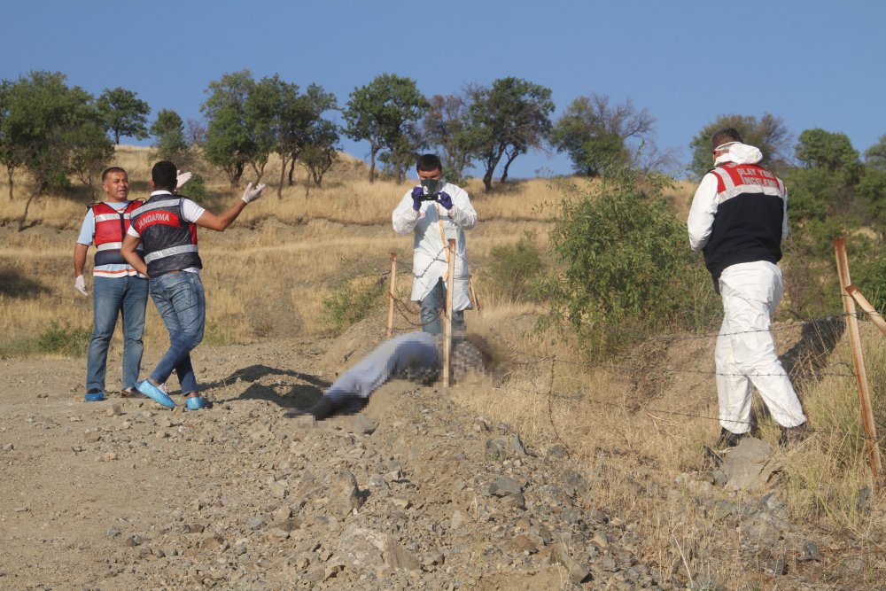 Haber Detay Görseli