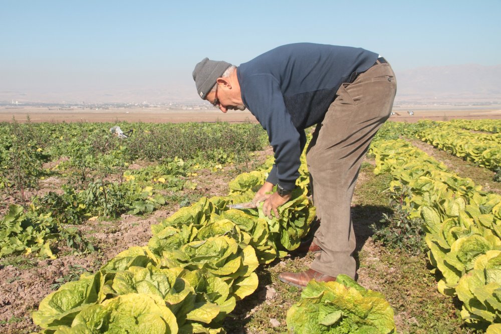 Haber Detay Görseli