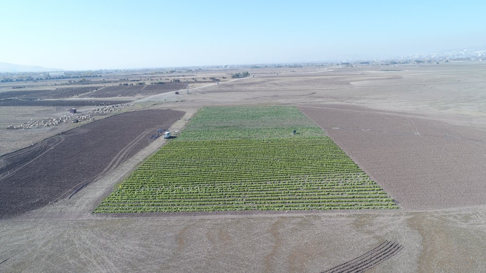 Haber Detay Görseli