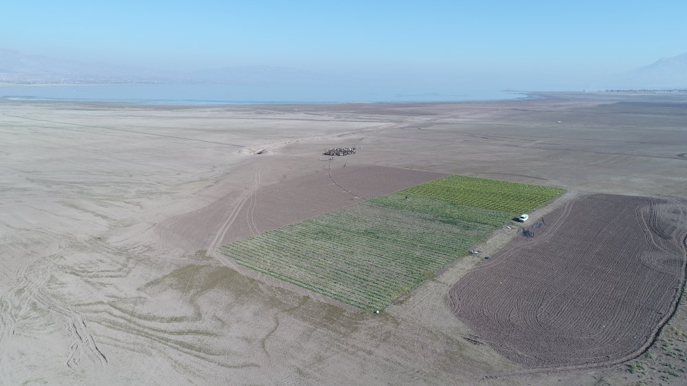 Haber Detay Görseli