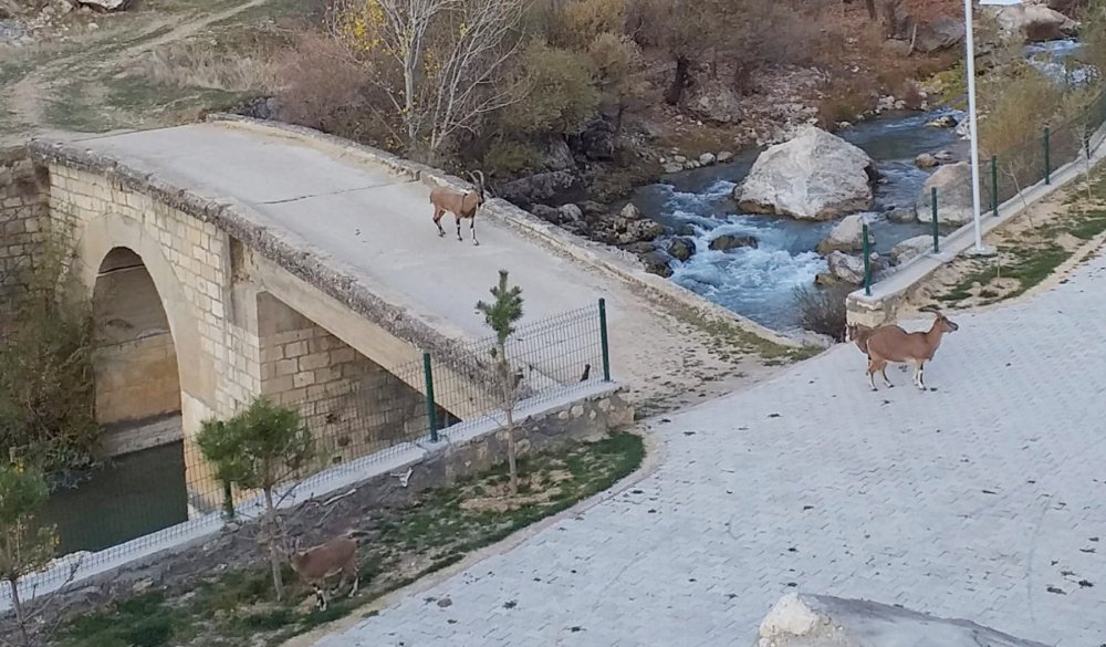 Haber Detay Görseli