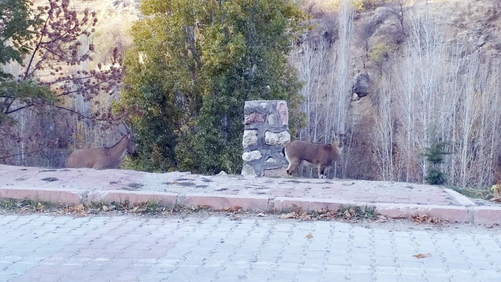 Haber Detay Görseli