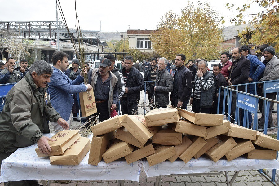 Haber Detay Görseli