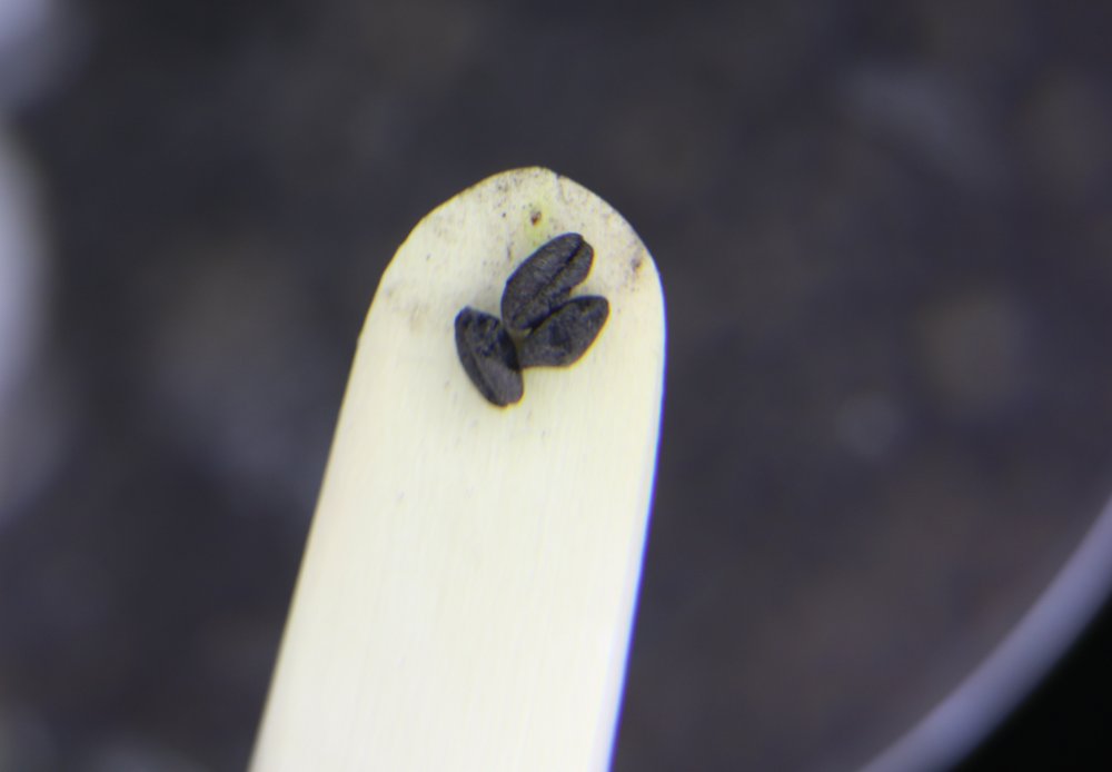 Haber Detay Görseli