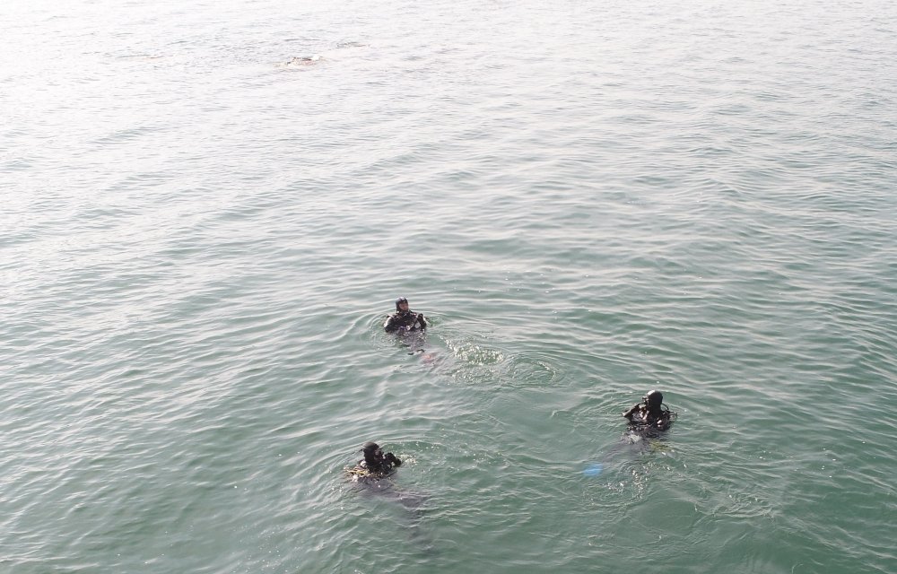 Haber Detay Görseli