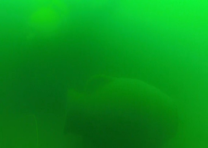 Haber Detay Görseli