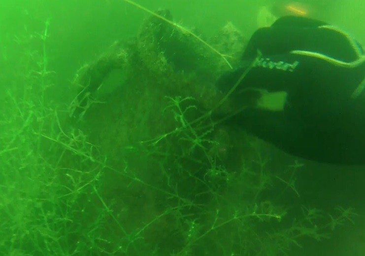 Haber Detay Görseli