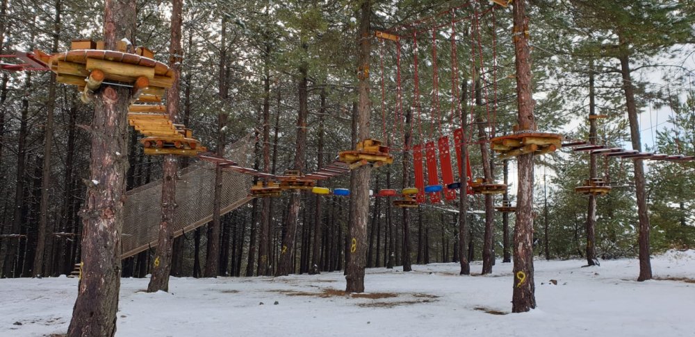 Haber Detay Görseli