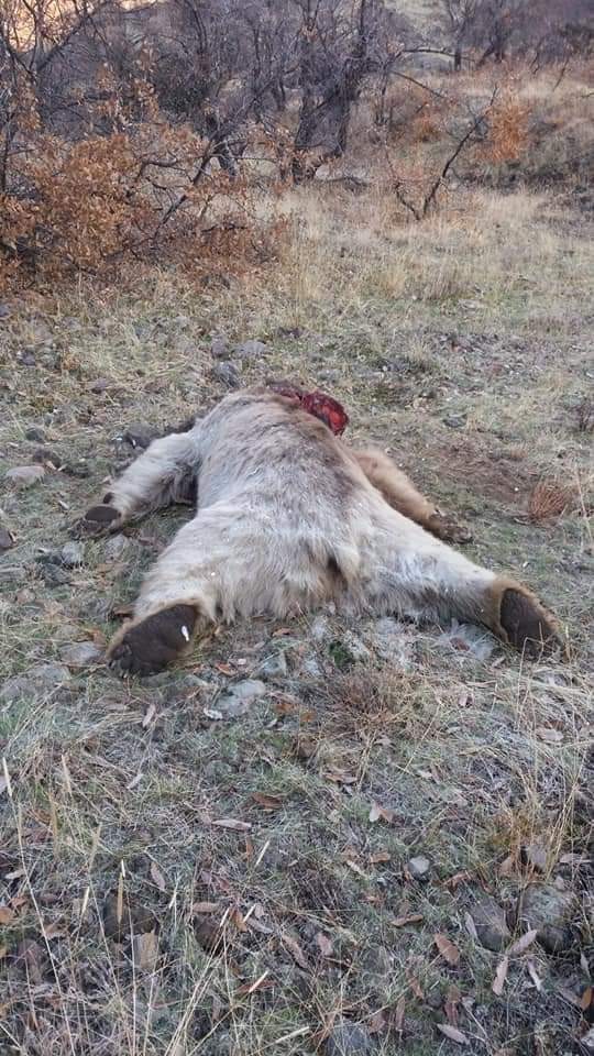 Haber Detay Görseli