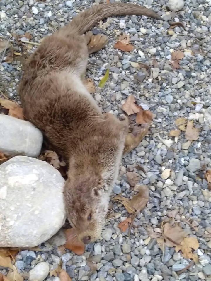 Haber Detay Görseli