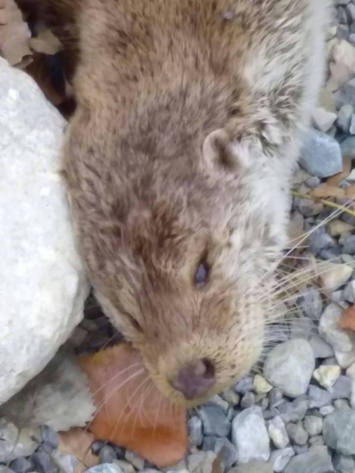 Haber Detay Görseli