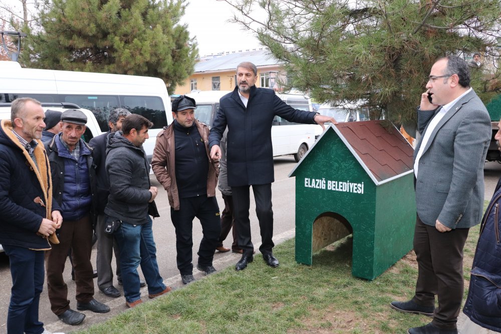 Haber Detay Görseli