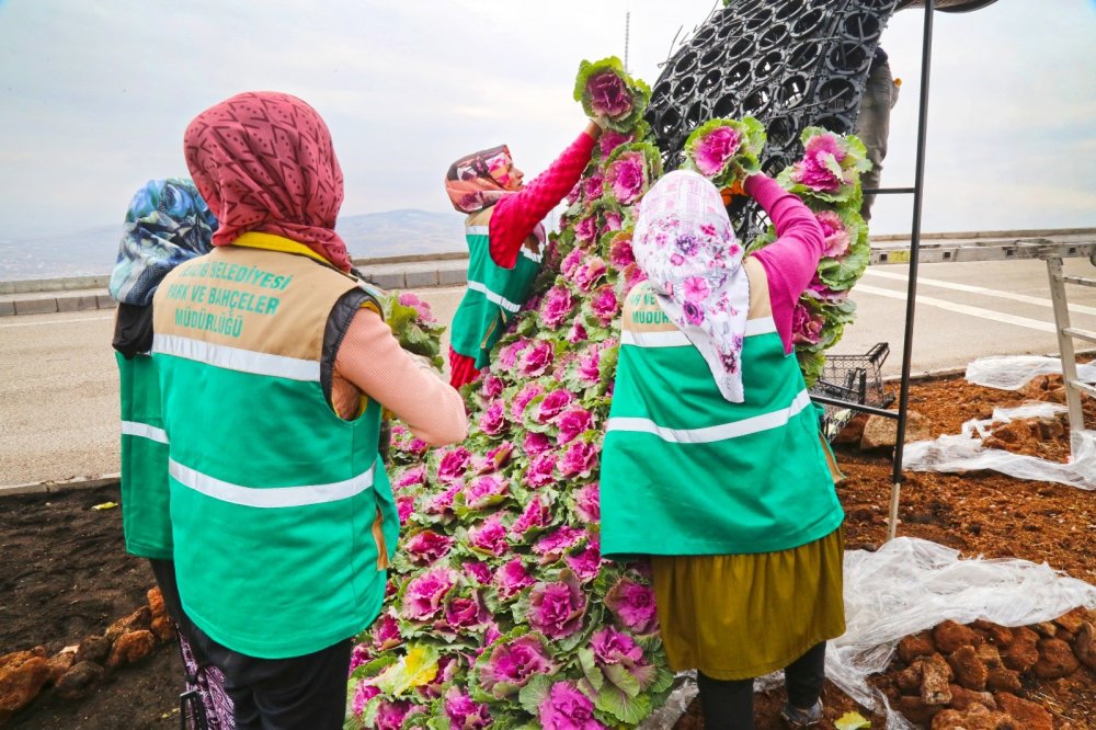 Haber Detay Görseli