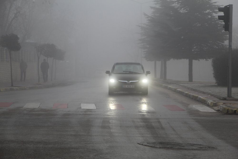 Haber Detay Görseli