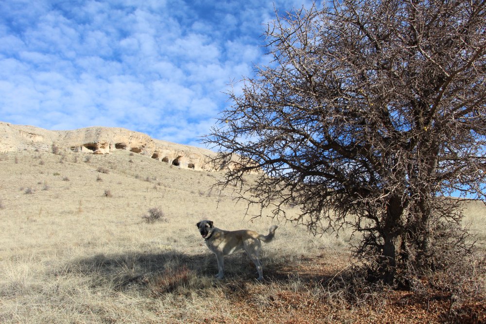 Haber Detay Görseli