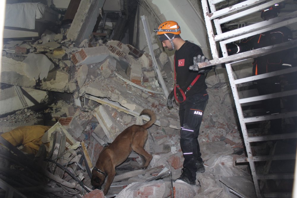 Haber Detay Görseli