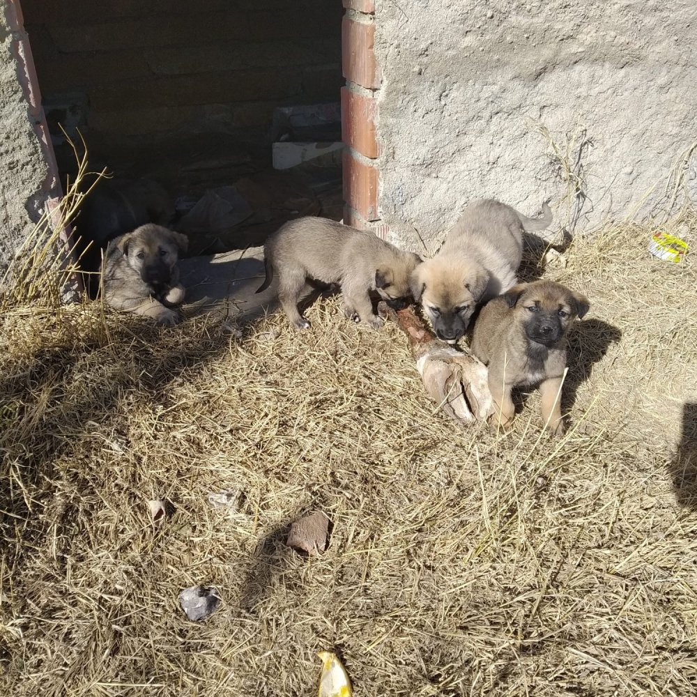 Haber Detay Görseli