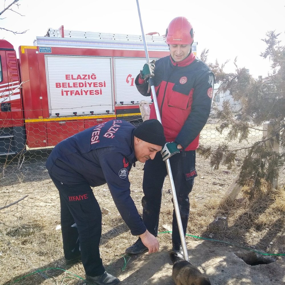 Haber Detay Görseli