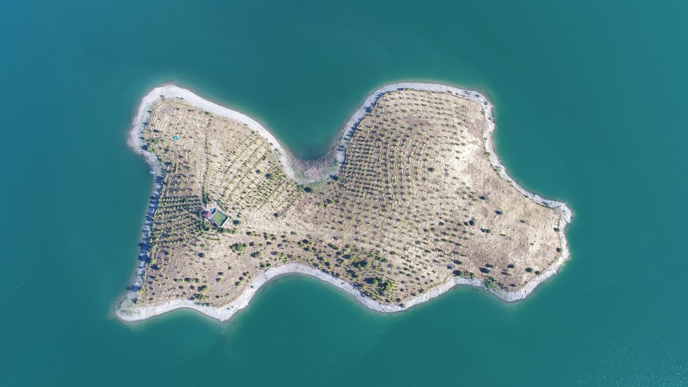 Haber Detay Görseli