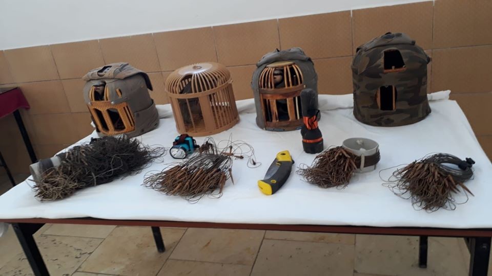 Haber Detay Görseli