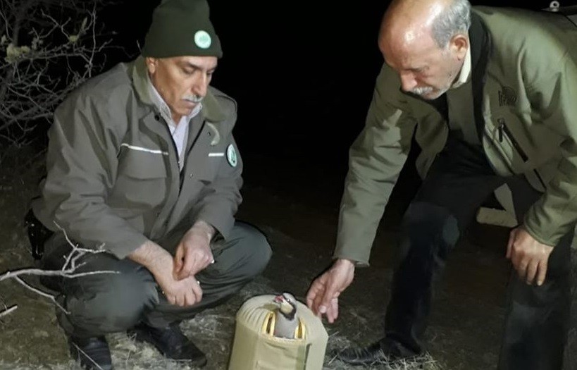 Haber Detay Görseli