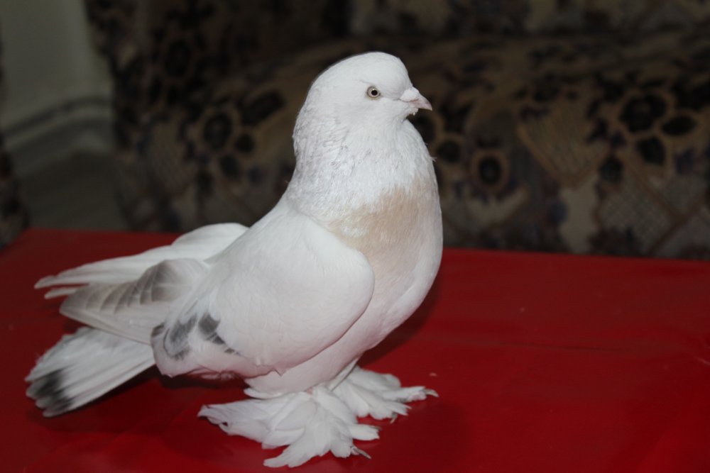 Haber Detay Görseli