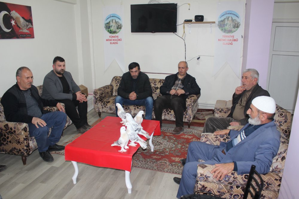 Haber Detay Görseli