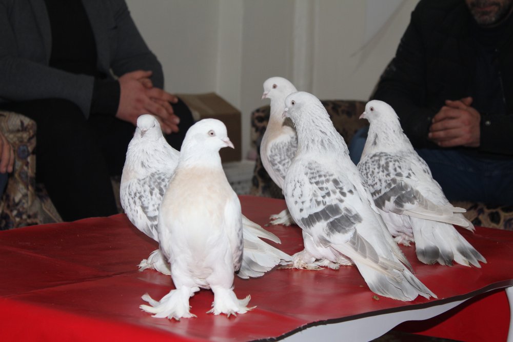 Haber Detay Görseli