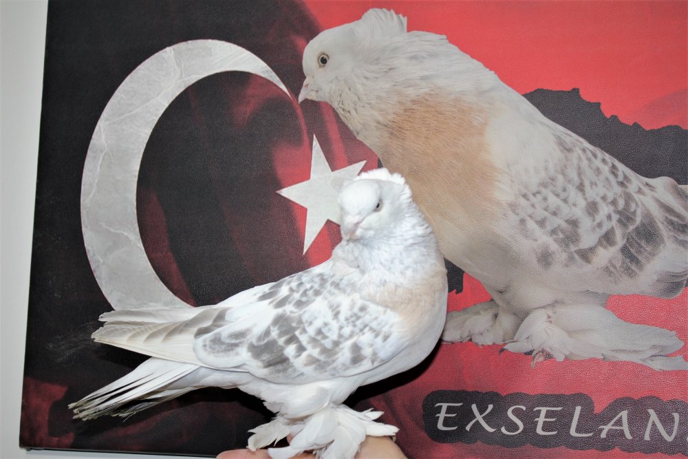 Haber Detay Görseli