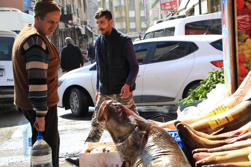 Haber Detay Görseli