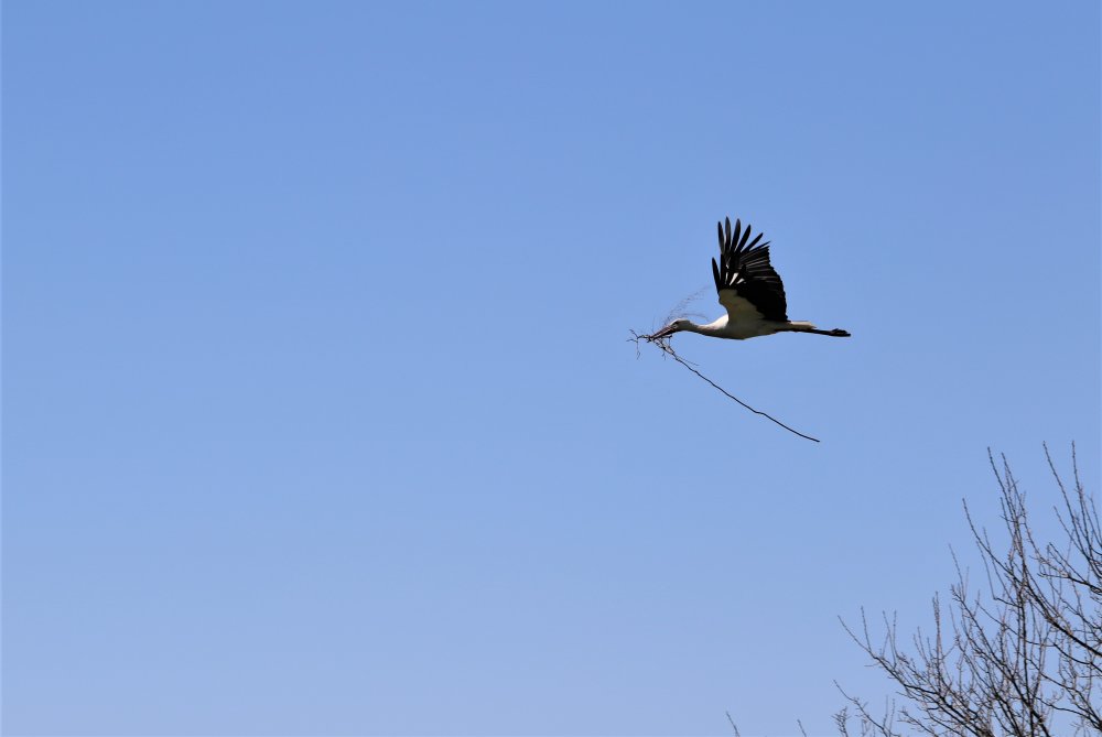 Haber Detay Görseli