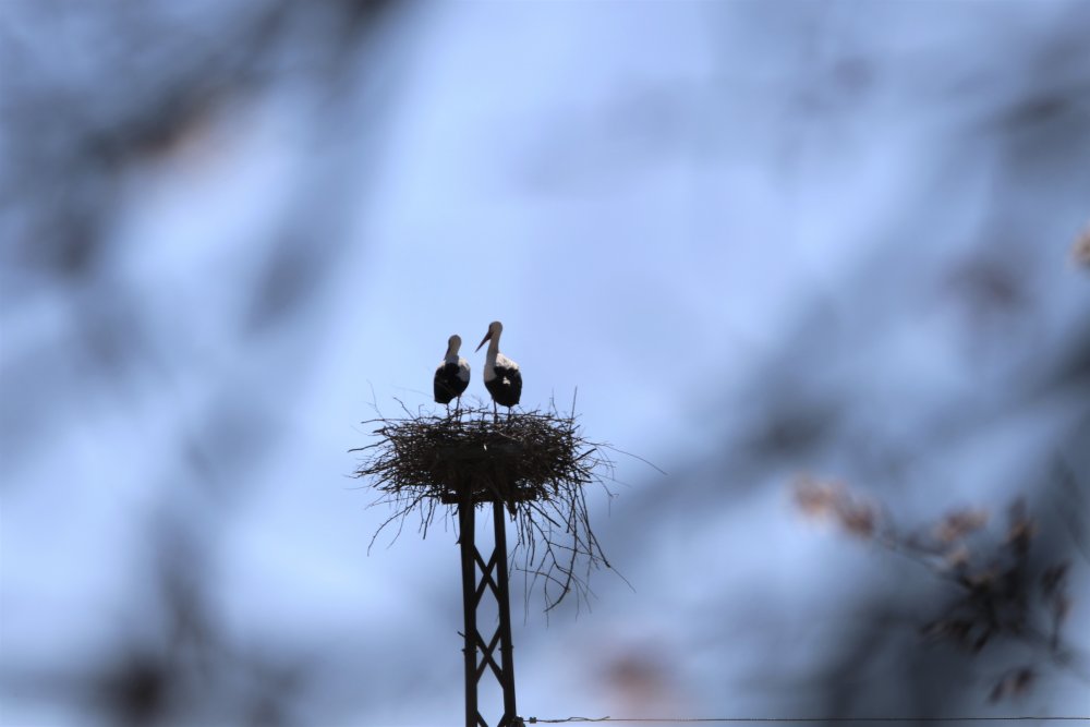 Haber Detay Görseli