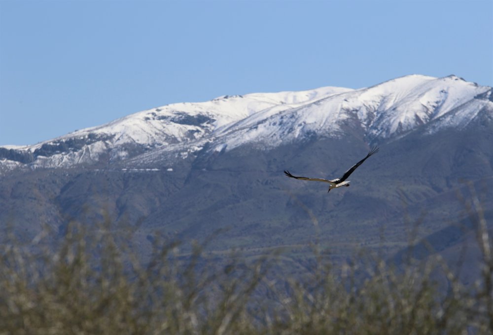 Haber Detay Görseli
