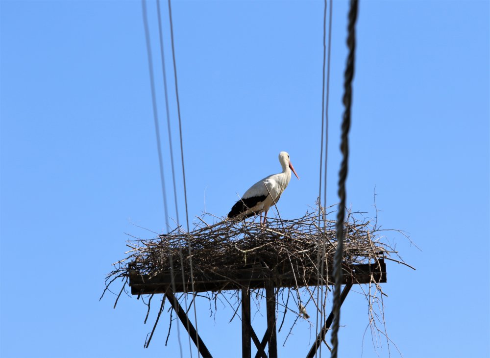 Haber Detay Görseli