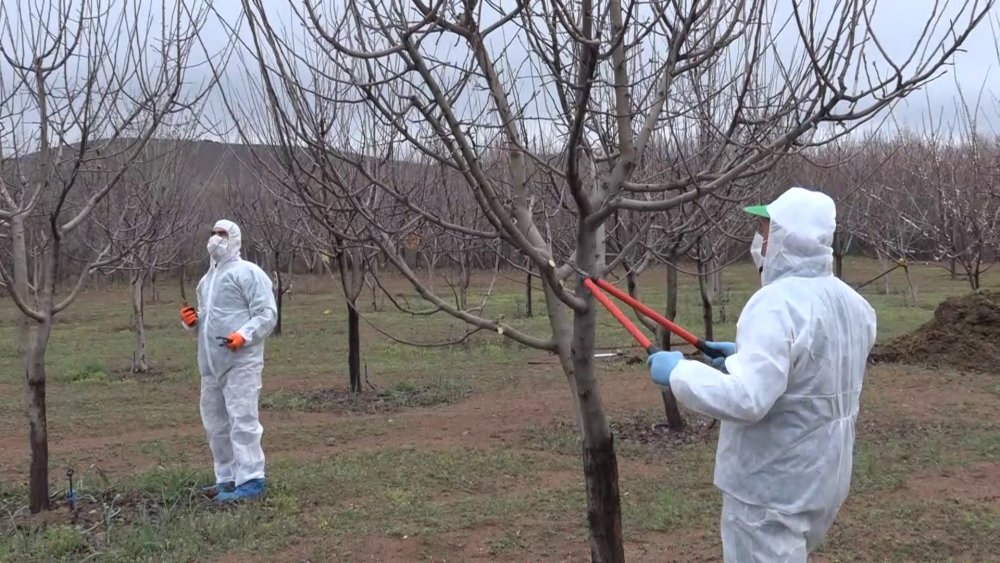 Haber Detay Görseli