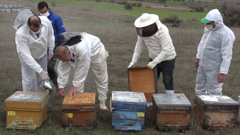 Haber Detay Görseli