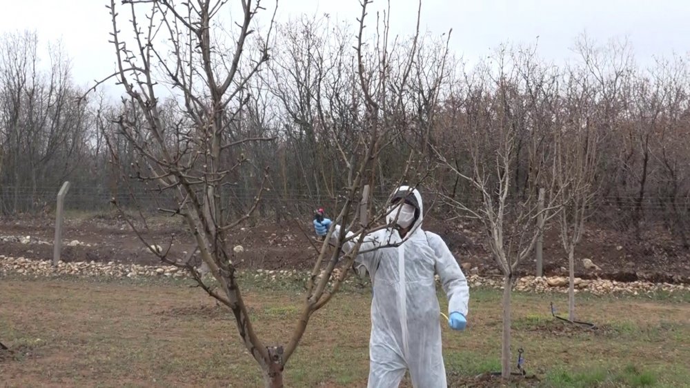 Haber Detay Görseli