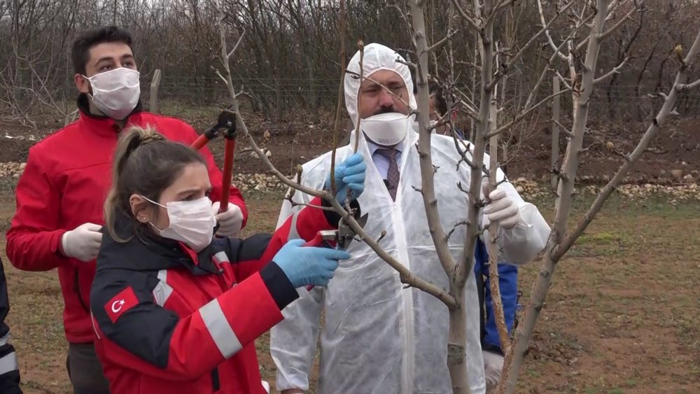 Haber Detay Görseli