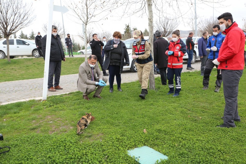 Haber Detay Görseli