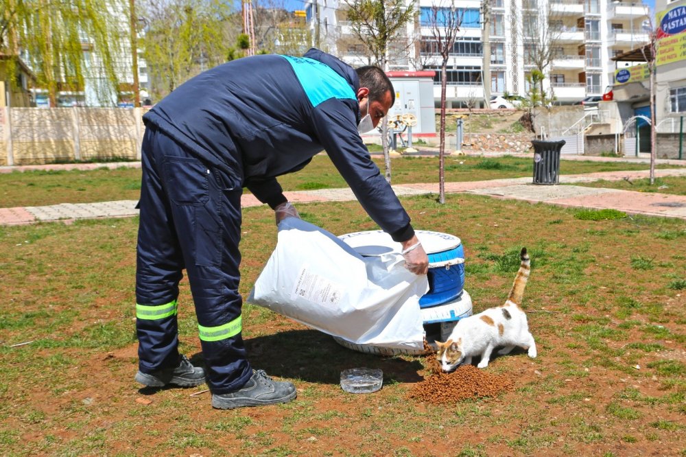 Haber Detay Görseli