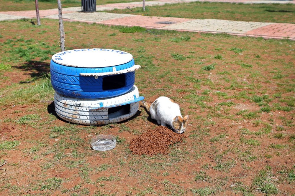 Haber Detay Görseli