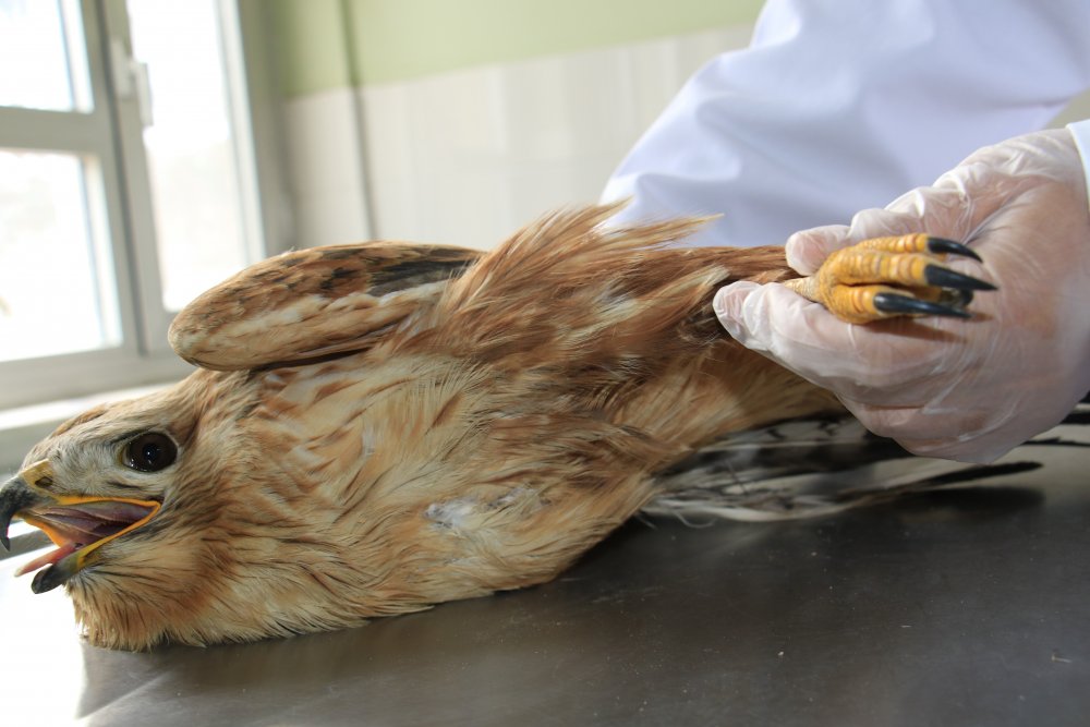 Haber Detay Görseli