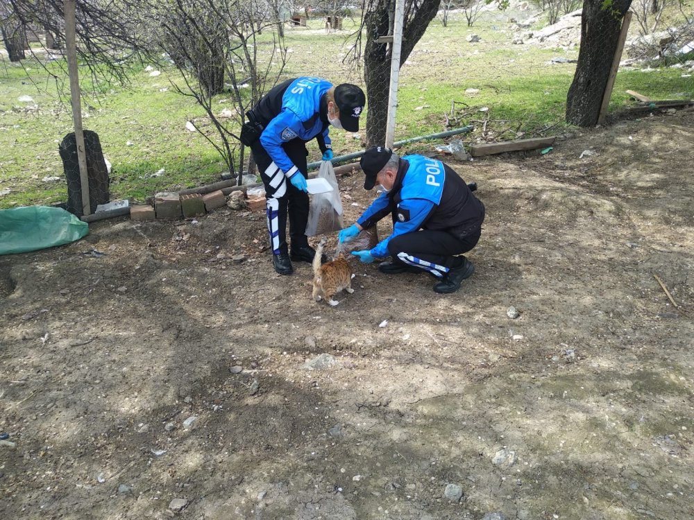 Haber Detay Görseli